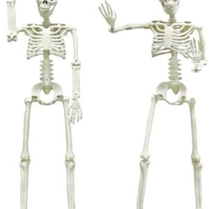 2PACK Plastic Posable Halloween Skeleton Decorations,